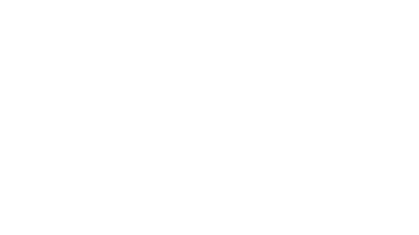 Home 12 BRN