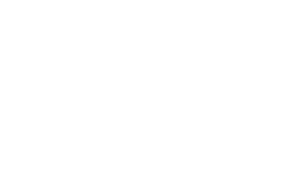Home 17 HTS
