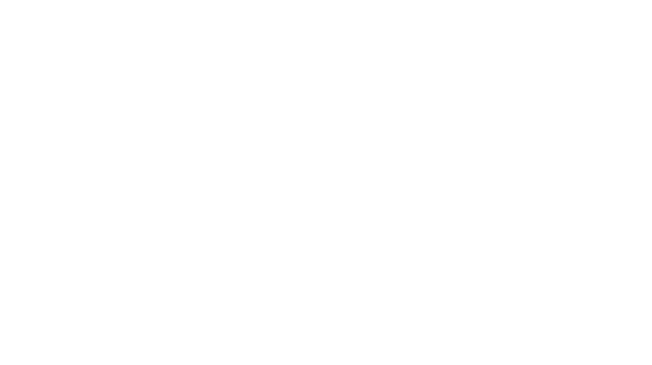 Home 19 Minerale