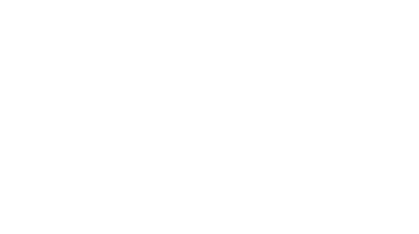 Home 23 Swiss Park